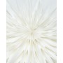 Etoile blanc cassé en papier à suspendre