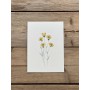 Carte postale florale