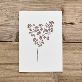 Carte postale florale - automne