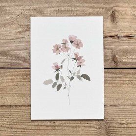 Carte postale florale - Liseron