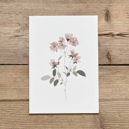 Carte postale florale - Liseron