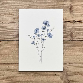 Carte postale florale - Myosotis