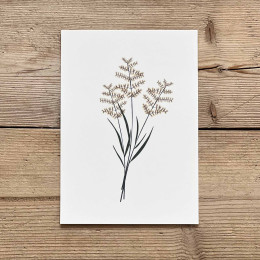 Carte postale florale - Printemps