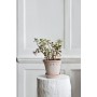 Pot en terre cuite Copenhague collerette double