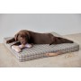 Coussin Milo pour chien Oyoy