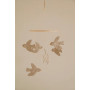 Mobile Oiseaux