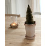 Pot en terre cuite Copenhague collerette double