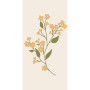 Serviettes de table en papier fleurs jaunes
