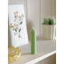 Bougies vert prairie - Lot de 5