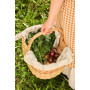 Panier à provision en rotin