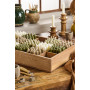 Bougies courtes beige lot de 8
