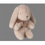 Peluche lapin Bunny Mini Rose poudre