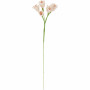 Fleur de papier Freesia poudre