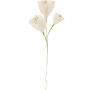 Fleur de papier Liseron d'Or