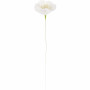 fleur de papier anémone Blanc