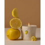 Bougie Bistro citron Paddywax