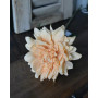 Dahlia abricot en tige