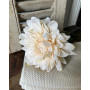 Dahlia en tige