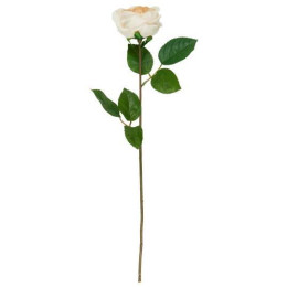 Rose en tige