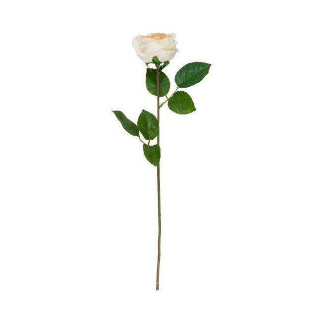 Rose en tige