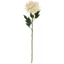 Dahlia en tige