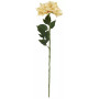 Dahlia abricot en tige