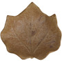 Coupelle feuille d'automne