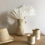 Bouquet de feuilles de palmier séchées blanchies