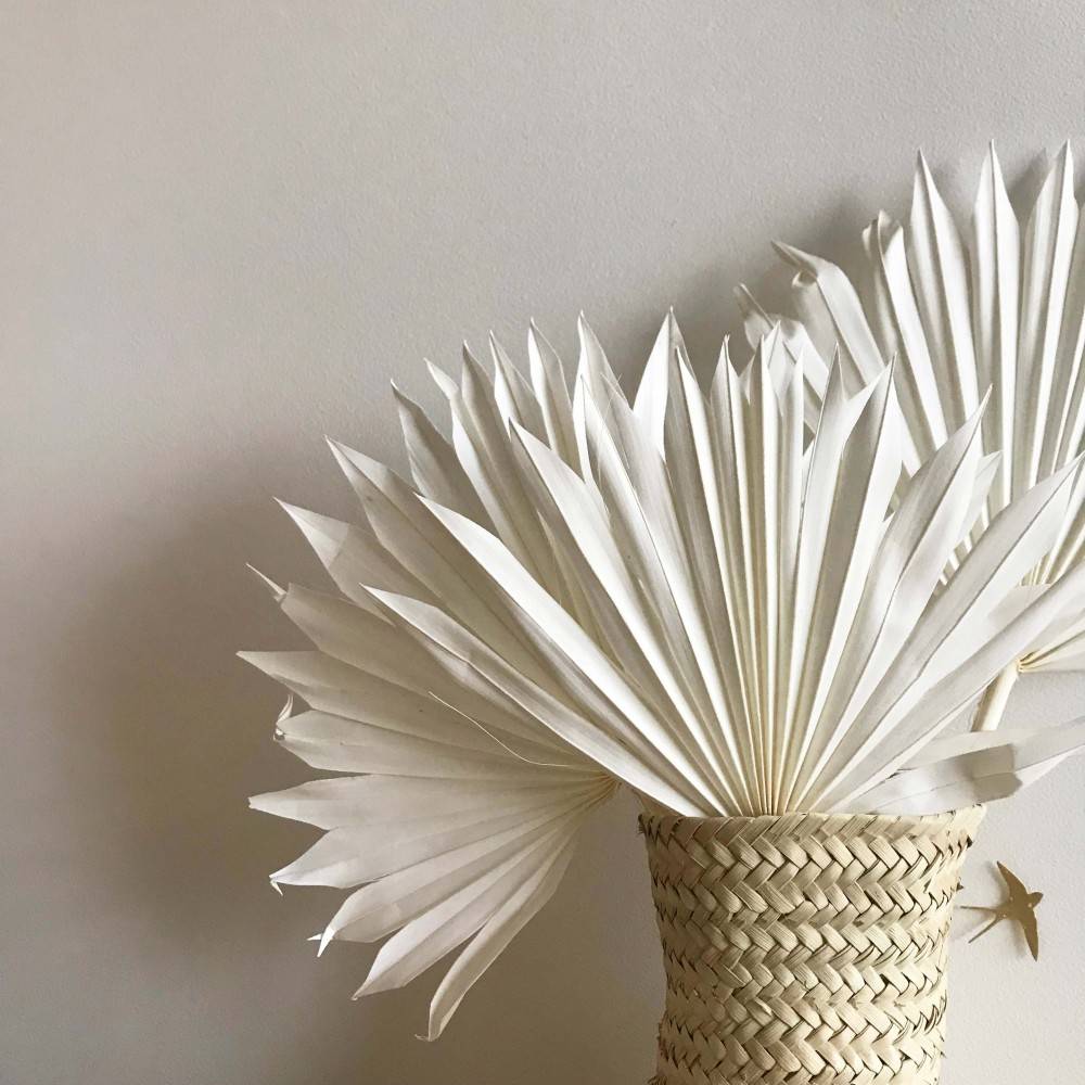 Bouquet de feuilles de palmier séchées blanchies | Scandimag Déco